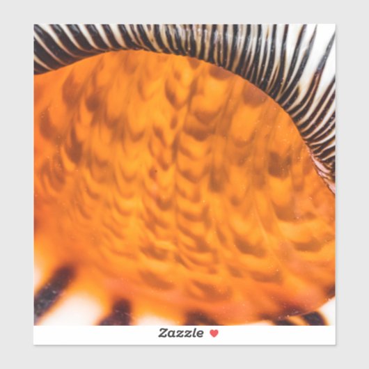 Mesmerizing seashell sticker (Vel)