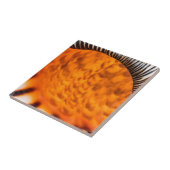 Mesmerizing seashell tegeltje (Zijkant)