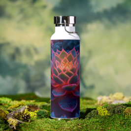 Mesmerizing succulent in zacht avondlicht waterfles