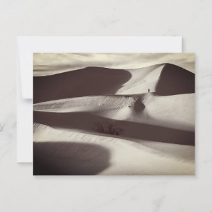 Mesquite Sand Dunes Death Valley Briefkaart