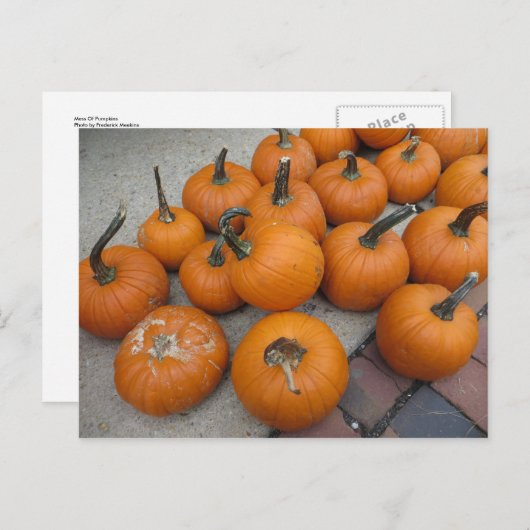 Mess of Pumpkins Briefkaart (Voorkant / Achterkant)
