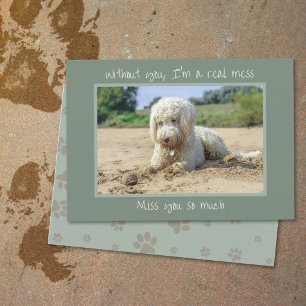 Mess sans vous chien Mlle votre carte