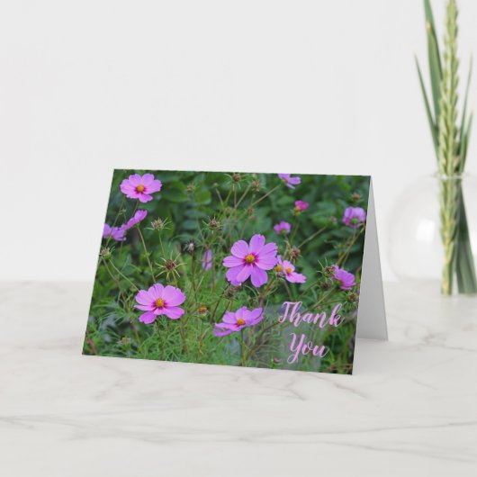 Message de Merci de Fleur de Cosmos Rose (Devant)
