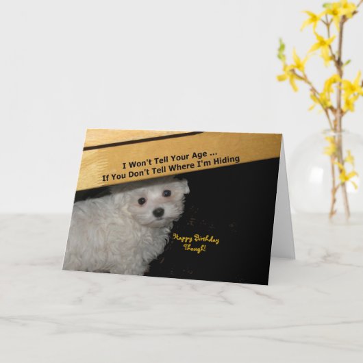 Message maltais Carte d'anniversaire (Fleur jaune)