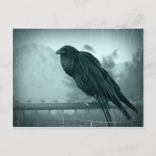 Messenger Briefkaart