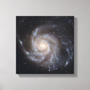 Messier 101, de Pinwheels Galaxy Canvas Afdruk