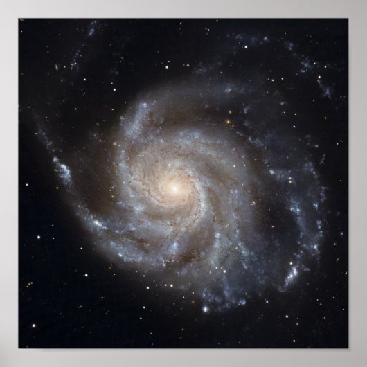 Messier 101, de Pinwheels Galaxy Poster (Voorkant)