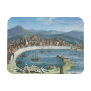 Messina - een Panoramisch Uitzicht van de Haven Magneet