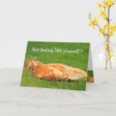 Messy Chicken Get Well Kaart (Gele Bloem)