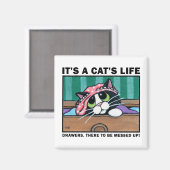 Messy Drawers v.01 - It's A Cat's Life Magnet (Recto/Verso)