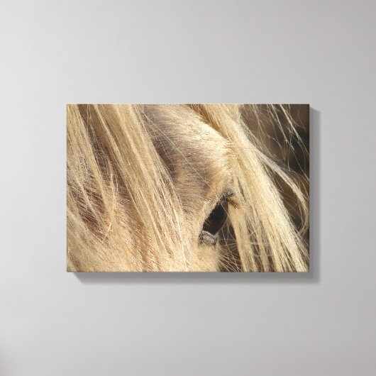 Messy Mane Canvas Afdruk (Voorkant)