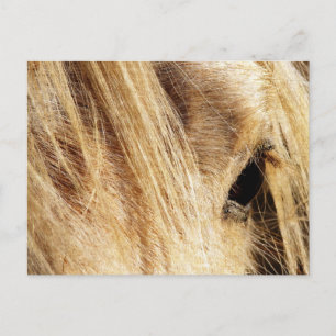 Messy Mane Day Briefkaart