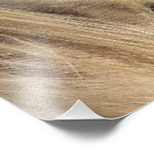 Messy Mane Day Foto Afdruk (Hoek)