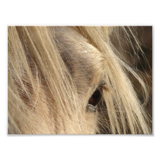 Messy Mane Day Foto Afdruk (Voorkant)