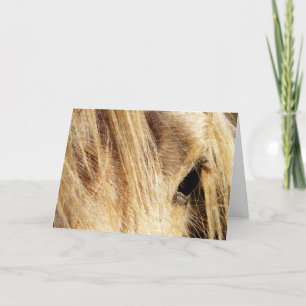 Messy Mane, Vaderdag Kaart