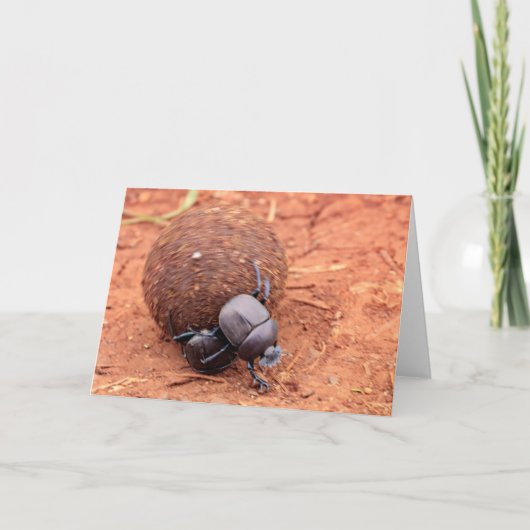 Mest gebeurt feestdagen kaart (Voorkant)