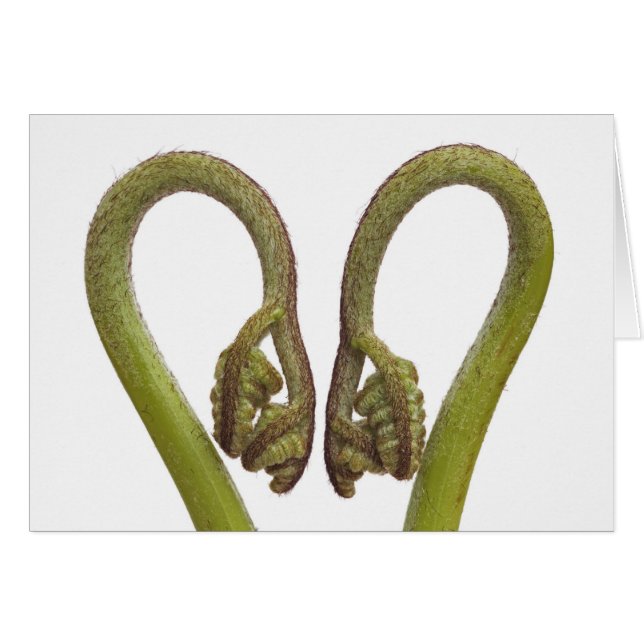 Mestkiemen 2 (Voorkant Horizontaal)