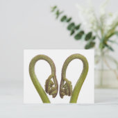 Mestkiemen 2 briefkaart (Staand voorkant)