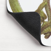 Mestkiemen 2 muismat (Hoek)