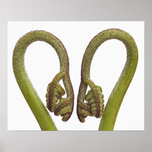 Mestkiemen 2 poster (Voorkant)