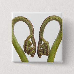 Mestkiemen 2 vierkante button 5,1 cm