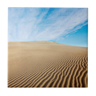 Mesvrij Flats Sand Dunes Tegeltje