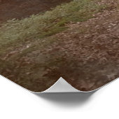 MET BIGFOOT SASQUATCH - IK WEET 2 POSTER (Hoek)