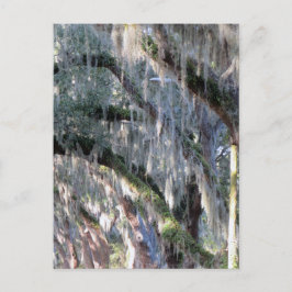 met bomen bekleed briefkaart