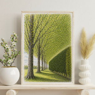 Met bomen omzoomd pad   Botanische landschapskunst Poster