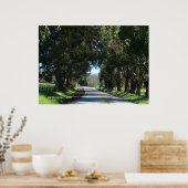 met bomen omzoomde landweg poster (Keuken)
