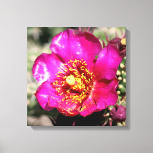 met cactus verpakte doek canvas afdruk