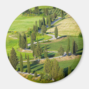 Met Cypress beklede weg in Toscane rond magneet