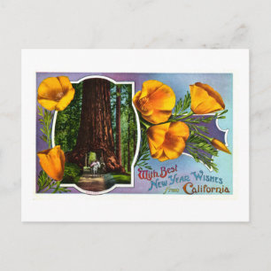 Met de Beste Wensen van het Nieuwjaar van Feestdagenkaart