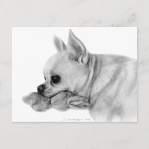 Met de hand beschilderde Chihuahua Bela met favori Briefkaart