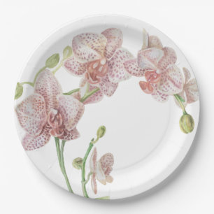 met de hand geillustreerde orchidee papieren bordje