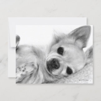 Met de hand geschilderd ontspannen Chihuahua kunst Briefkaart