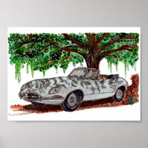 Met de hand geschilderde Jaguar E-Type Cabrio Aqua