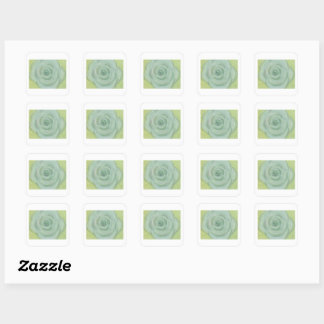 Met de hand getekende witte roos sticker