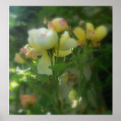 met de schaduw poster (Voorkant)