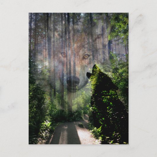 Met de Wolven. Briefkaart (Voorkant)