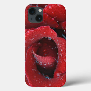 Met dew bedekte rode rozen ter decoratie van graf iPhone 13 hoesje