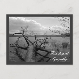 Met diepste sympathie briefkaart