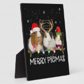 Met drie paigne kerstlampjes met kerstmis fotoplaat (Zijkant)