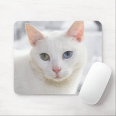 met een oneven witte kat dicht bij het gezicht muismat (Met muis)