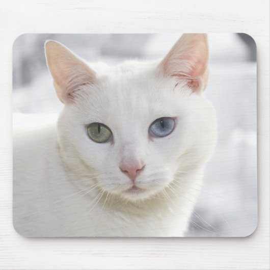 met een oneven witte kat dicht bij het gezicht muismat (Voorkant)