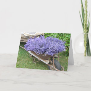 met lavendel gevulde kruiwagen kaart