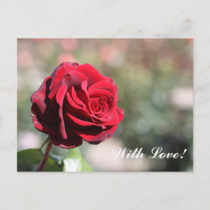 Met liefde Briefkaart