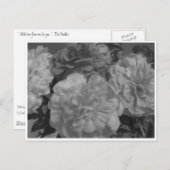 "...met liefde van mij, van jou..." briefkaart (Voorkant / Achterkant)