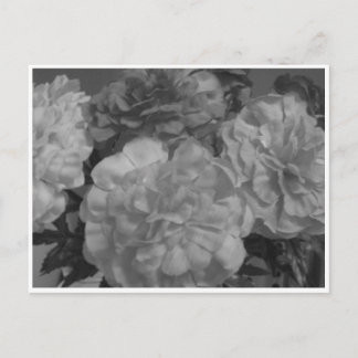 "...met liefde van mij, van jou..." briefkaart