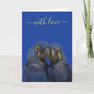 Met Love Hyacinth Macaw Parrot Bird Blue Kaart